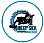 logo_deepsea_smaller
