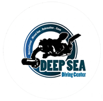 small_logo_no_circle